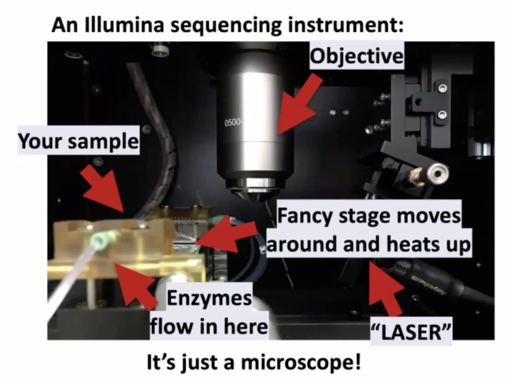 illumina