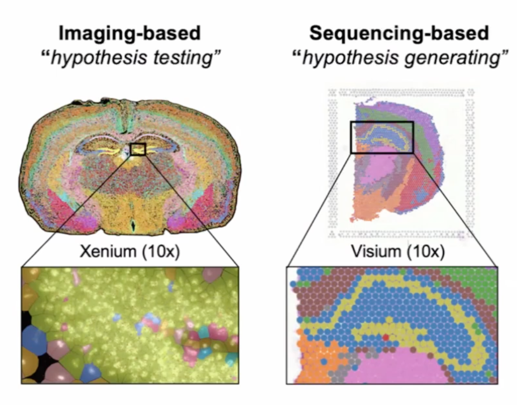 xeniumandvisium