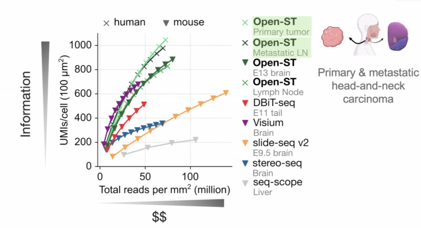 summary-openST